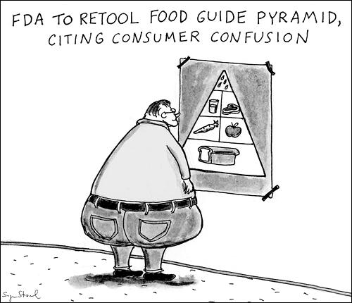 Food Pyramid Fat Guy