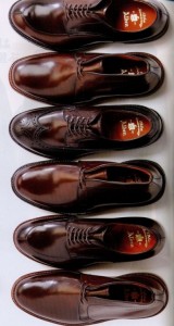 Brown dress shoes. These will go with dressy outfits that have brown or beige tones. 