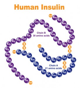 Human Insulin.