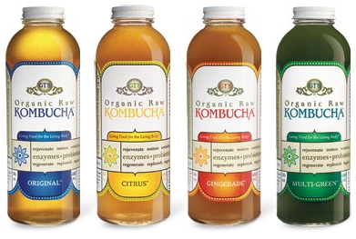 What the Heck is Kombucha? (It Is Actually Good For You?)