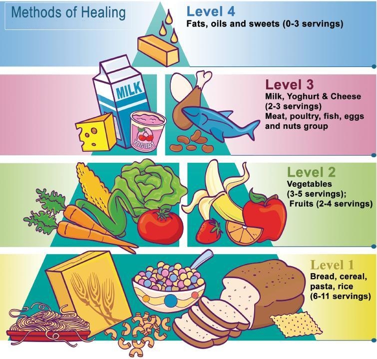 The USDA Food Pyramid The Original Diet Scam GLL Lifestyle