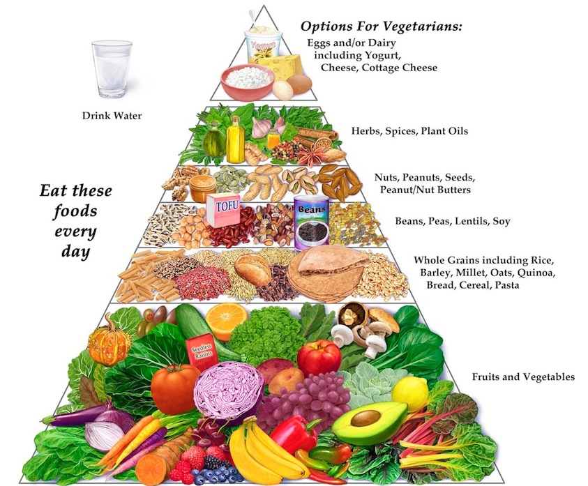 Is a Vegetarian Diet or Vegan Diet Actually Healthy? (Tony Gonzalez's ...
